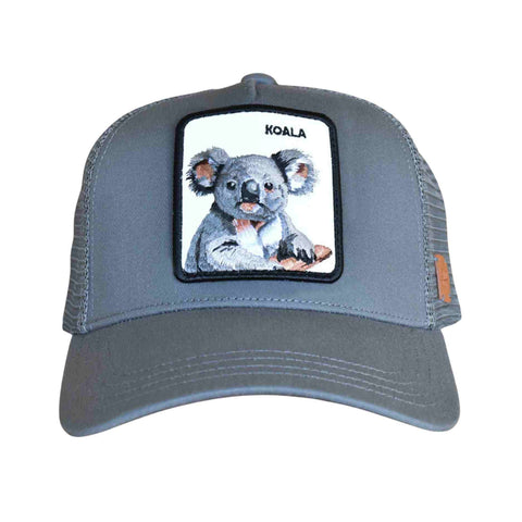 Koala hat