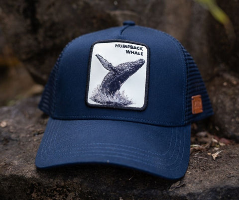 Humpback Whale Hat (soon)