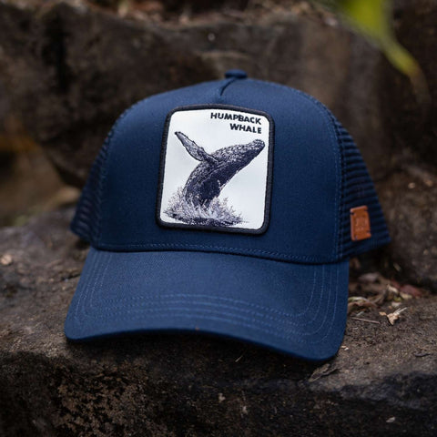 Humpback Whale Hat – Australian Wildlife Trucker