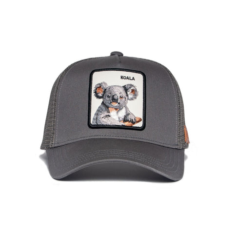 Koala Hat