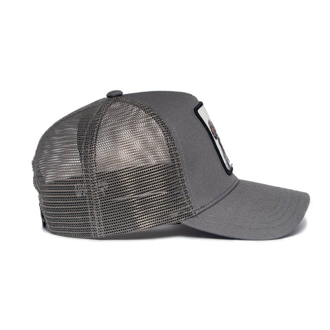 Koala Hat