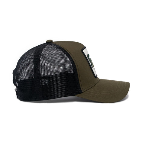 Crocodile Hat