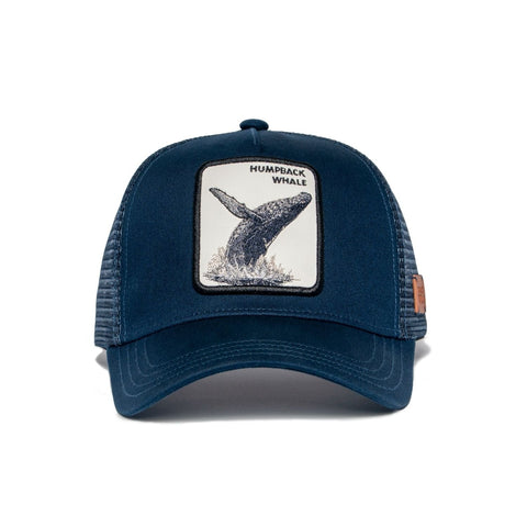 Humpback Whale Hat