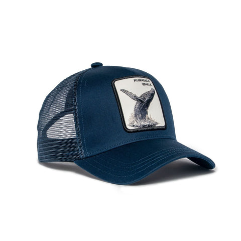 Humpback Whale Hat