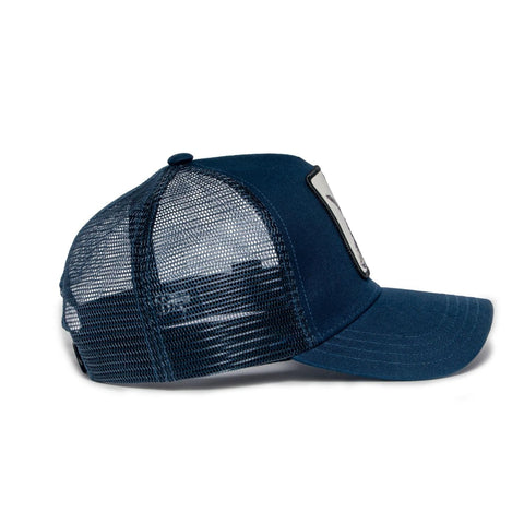 Humpback Whale Hat
