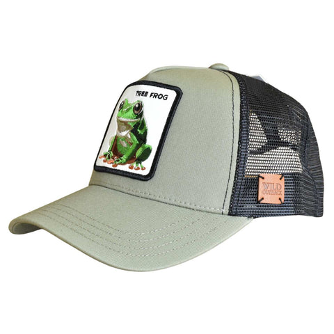Tree Frog hat