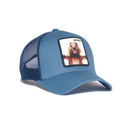 Quokka Blue Hat